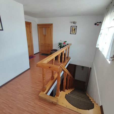 Camere De Inchiriat Edelweiss Dumbrava Roşie Zewnętrze zdjęcie