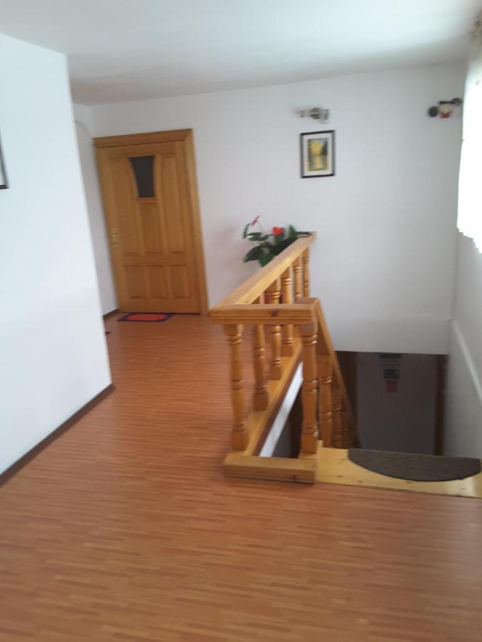 Camere De Inchiriat Edelweiss Dumbrava Roşie Zewnętrze zdjęcie
