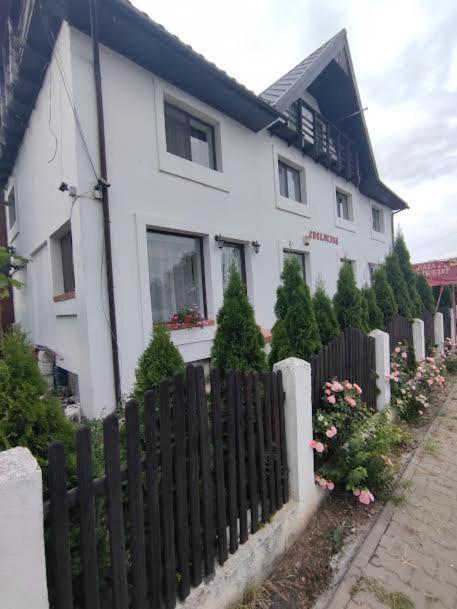 Camere De Inchiriat Edelweiss Dumbrava Roşie Zewnętrze zdjęcie